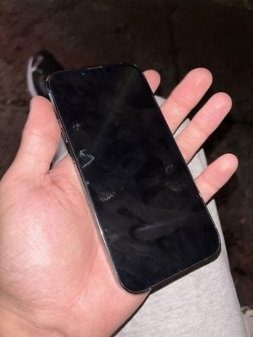 ips 24: IPhone 13 Pro, Alpine Green — 4