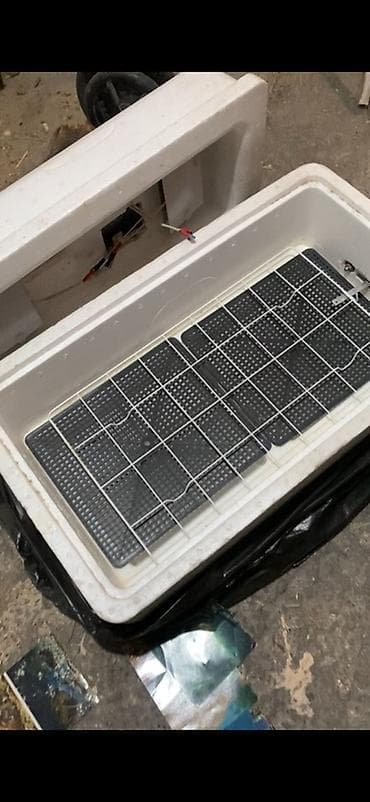 Бизнес үчүн жабдуулар: Инкубатор для яиц с электронным терморегулятором - Корпус из — 3