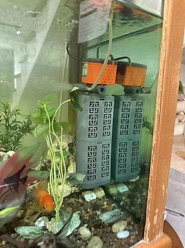 аксессуары для аквариума: Аквариум с рыбами на 300 л — 3