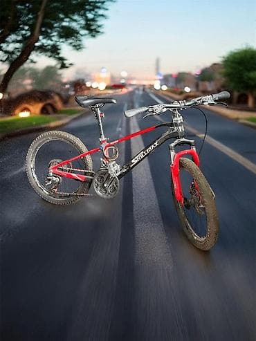 r16 4: Горный велосипед, Skillmax, Алюминий, Б/у — 1