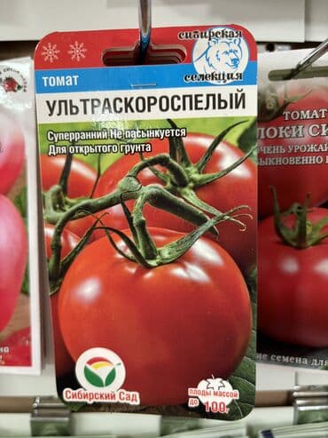 рассада помидор купить: Семена помидоров по 25 сомов «Джина ТСТ» «Лонг кипер» «Янтарное — 6