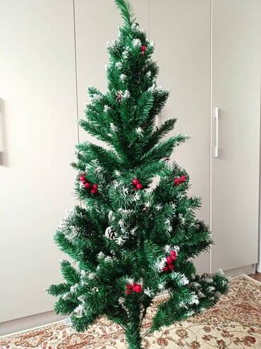 павлония саженцы: Елка — 2