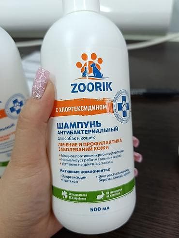 ?агазин Ветинтерсервис, Люксембург Ленина 143 lalafo.kg да ?агазин Ветинтерсервис, Люксембург Ленина 143