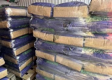 навоз конский: Семена кормовых растений: Люцерна — 2