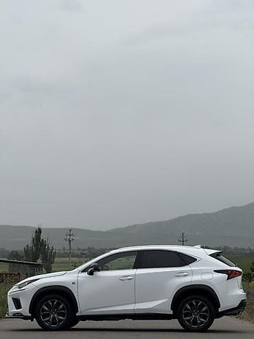 dio af27: Lexus NX: 2019 г., 2 л, Автомат, Бензин, Кроссовер — 3