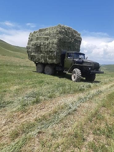 шкафтар бу: Услуга: вывоз и перевозка сена/тюков на вездеходном самосвале 6×6 — 4