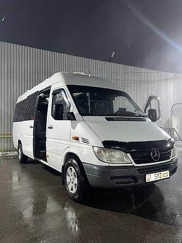 Mercedes-Benz Спринтер: 2004 г., 2.9 л, Механика, Дизель, Бус