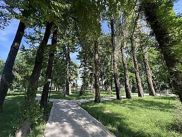167: 167 м², 5 комнат, Бронированные двери, Евроремонт, Забор, огорожен — 3