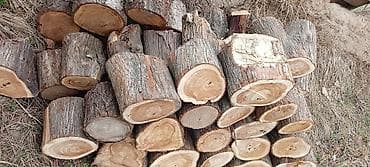 чоп тырмо: Отун — 3