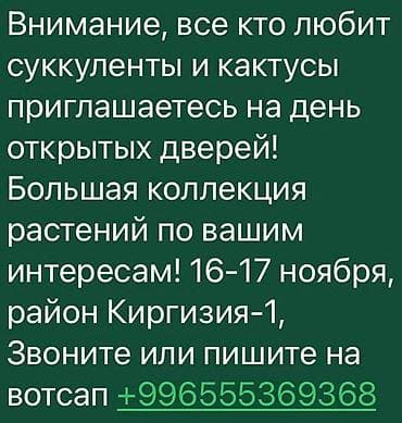 цветы ош: Другие садовые цветы и кустарники — 1