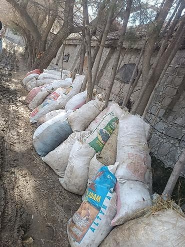 Сушилки: В мешках, Самовывоз, Портер — 2