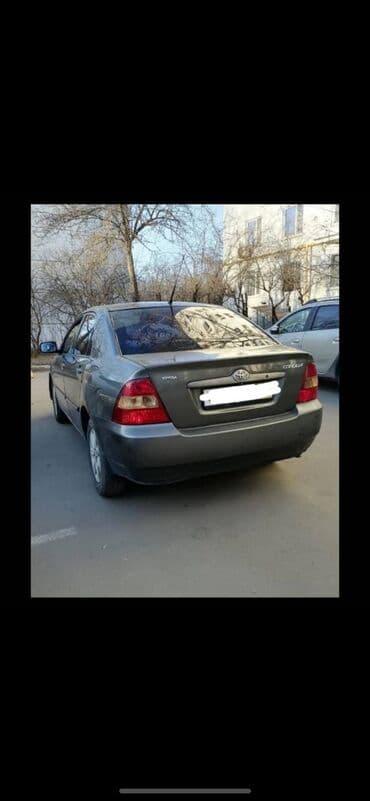 corolla runx: Сдаю в аренду Toyota Corolla (механика)2005 в отличном состоянии — 3