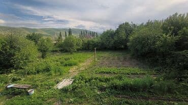 дом на прокат: Үй, 70 кв. м, 7 бөлмө, Менчик ээси — 2