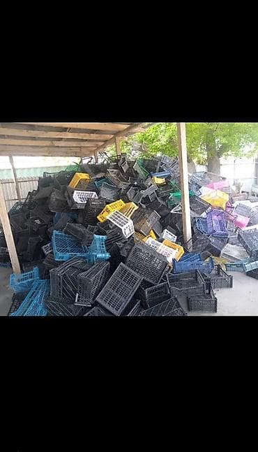 5: Прием пластика, 5 - PP (полипропилен) — 1