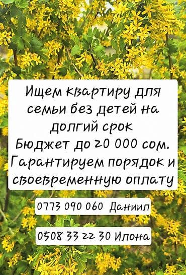 Недвижимость: Ищем квартиру для семьи без детей на долгий срок. Бюджет до 20 000 — 1