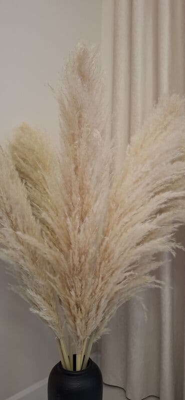 flat in osh: 1 комната, Постельное белье, Бронь, Бытовая техника — 3