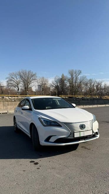 продаю в связи переездом: Changan Eado: 2019 г., 0.1 л, Автомат, Электромобиль, Седан — 6
