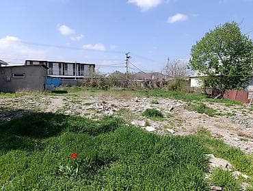 царский село: 12 соток, Для строительства, Красная книга, Договор дарения — 3