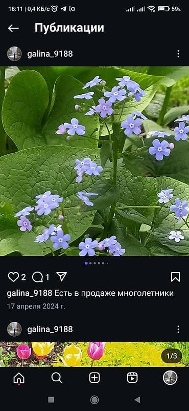 автомат для стирки: Самовывоз — 6