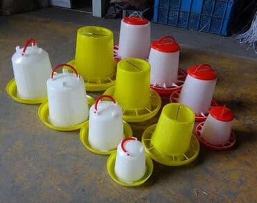 корм для кошек оптом бишкек: Продаю кормушки,поилки Нипильные оптом и в розницу — 21