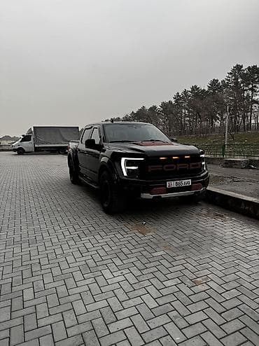 мерс2 2: Ford F-150: 2020 г., 2.7 л, Автомат, Бензин, Пикап — 9