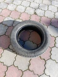 шины бишкек дордой цены: Шины 215 / 60 / R 17, Зима, Б/у, Комплект, Легковые, Япония, Dunlop — 1