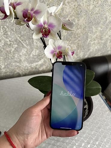 кнопочный телефон с ватсапом бишкек: IPhone 12 Pro Max, 256 ГБ, Pacific Blue, Защитное стекло, Чехол, Кабель, 75 % — 3