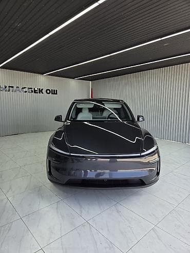 Tesla Model Y: 2025 г., 3 л, Автомат, Электромобиль, Кроссовер