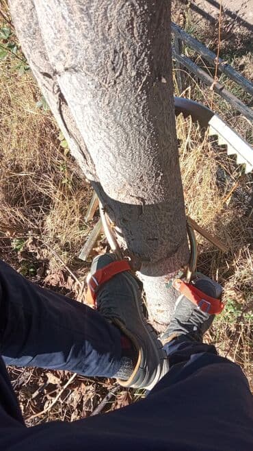 строительные инструменты продаю: Когти по дереву. пояс в комплекте — 6