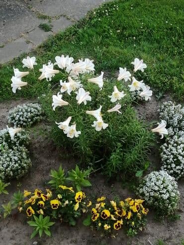 украшения для волос ручной работы: Сумочка ручной работы в технике макраме - Цвет: белый, универсальный — 1