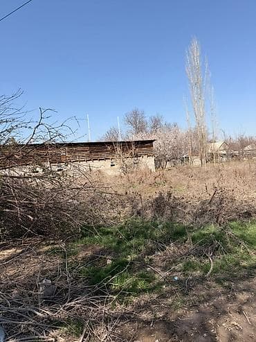 сокулуе: 19 соток, Курулуш, Кызыл китеп — 1