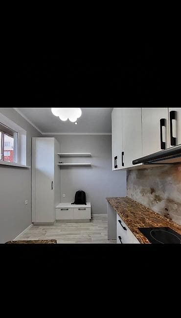 platinum park: 1 комната, 15 м², 106 серия улучшенная, Цокольный этаж этаж, Евроремонт — 3