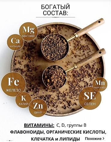 мастит: Чага! Чага! Чага! Березовая чага (берёзовый гриб), натуральный — 3
