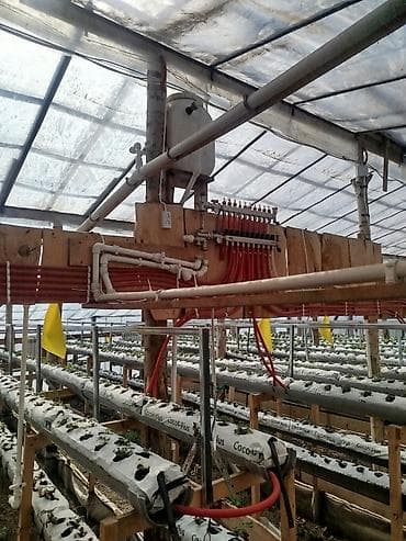 продаю сельхоз землю: Комплект для выращивания клубники в теплице на кокосовом субстрате - — 5