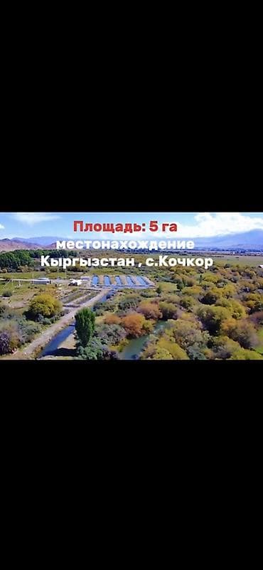 маловодное кыргызстан: Рыбное хозяйство, 500 соток, Действующий — 2