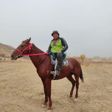 Аквариумы: Продаю | Конь (самец) | Рабочий — 3