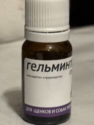 карликовый померанский шпиц цена: Пристраиваем щенков в хорошие добрые руки. Мама крупная дворняжка — 13