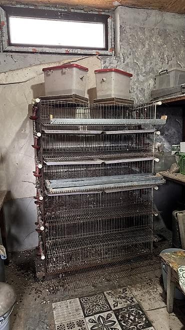 ээр комплект: Продается клетка для перепелок 
Цена 10000с — 1