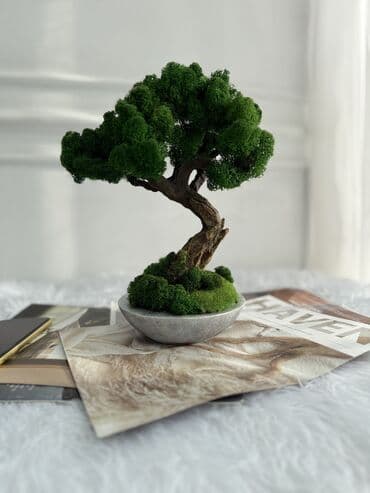 светящиеся камни: Авторские интерьерные композиции из стабилизированного мха 1) Райский — 2