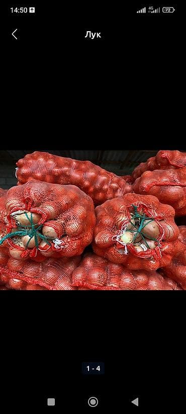 пакет упаковочный: Лук Оптом — 2