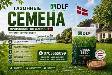 Газонные семена DLF (Дания) — профессиональные смеси для плотного