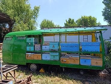 Оборудование для производства: Передвижной павильон для пасеки (прицеп‑платформа с размещением ульев) — 2
