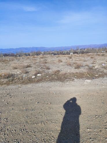 дом чон сары ой: 2 соток, Красная книга — 2