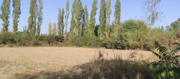 12 соток, Для строительства, Красная книга, Договор купли-продажи