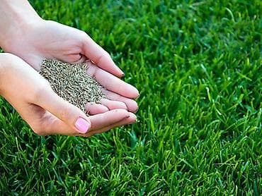 Газон: Газон и Автополив Газон. Озеленение под ключ. Хотите красивый — 5