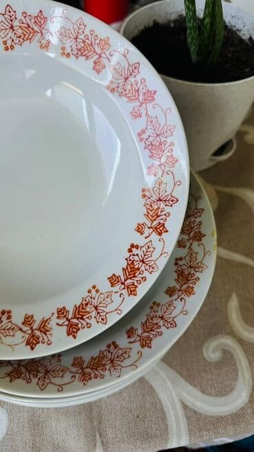 пасуда комплект: Белая суповая тарелка из фарфора, украшенная узором из листьев и ягод — 3