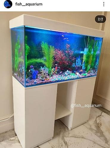 Аквариумы готовые и на заказ по вашим размерам. Также изготавливаем lalafo.kg да Аквариумы готовые и на заказ по вашим размерам. Также изготавливаем