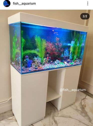 аквариумная рыбка: Аквариумы готовые и на заказ по вашим размерам. Также изготавливаем — 1