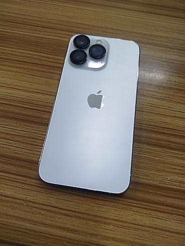 life network system: IPhone 13 Pro, 256 ГБ, Серебристый, Чехол, 77 % — 2
