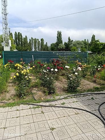работу охраника: Просторный крытый навес и закрытая территория для авто/Большой — 7